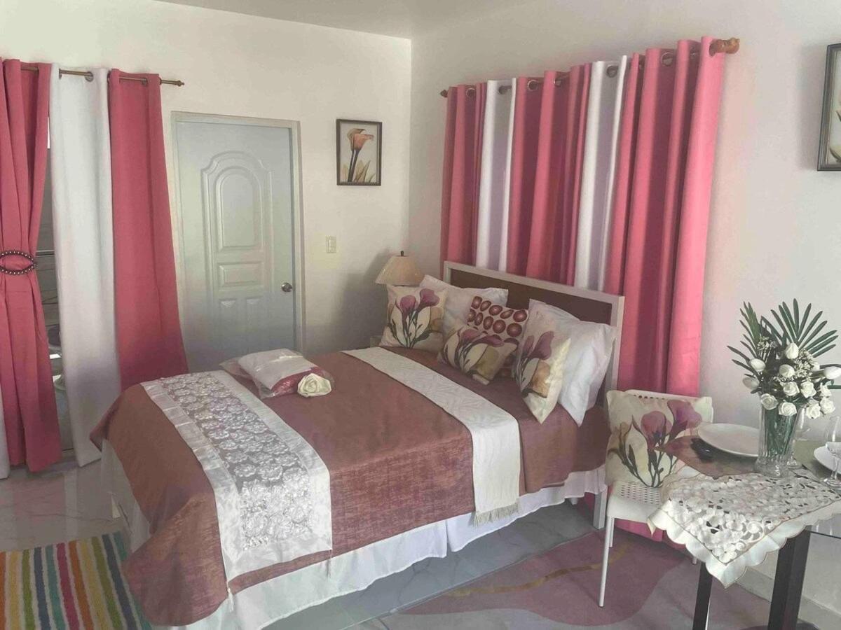 Royal Terrace V Διαμέρισμα Πουέρτο Πλάτα Εξωτερικό φωτογραφία